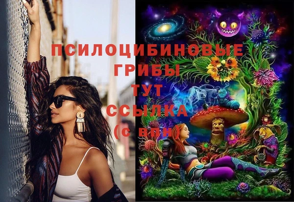 ешки Балахна