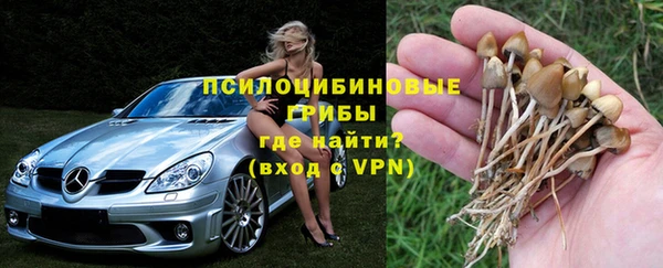 a pvp Баксан