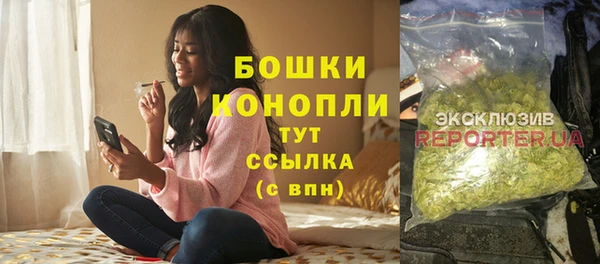 прущие грибы Армянск