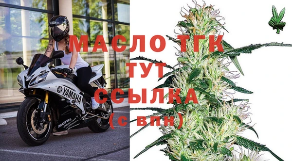 прущие грибы Армянск