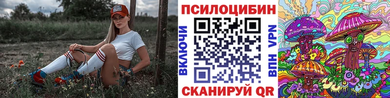 Псилоцибиновые грибы Cubensis  Чудово 