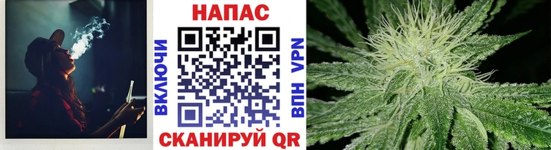 как найти закладки  Чудово  Марихуана семена 
